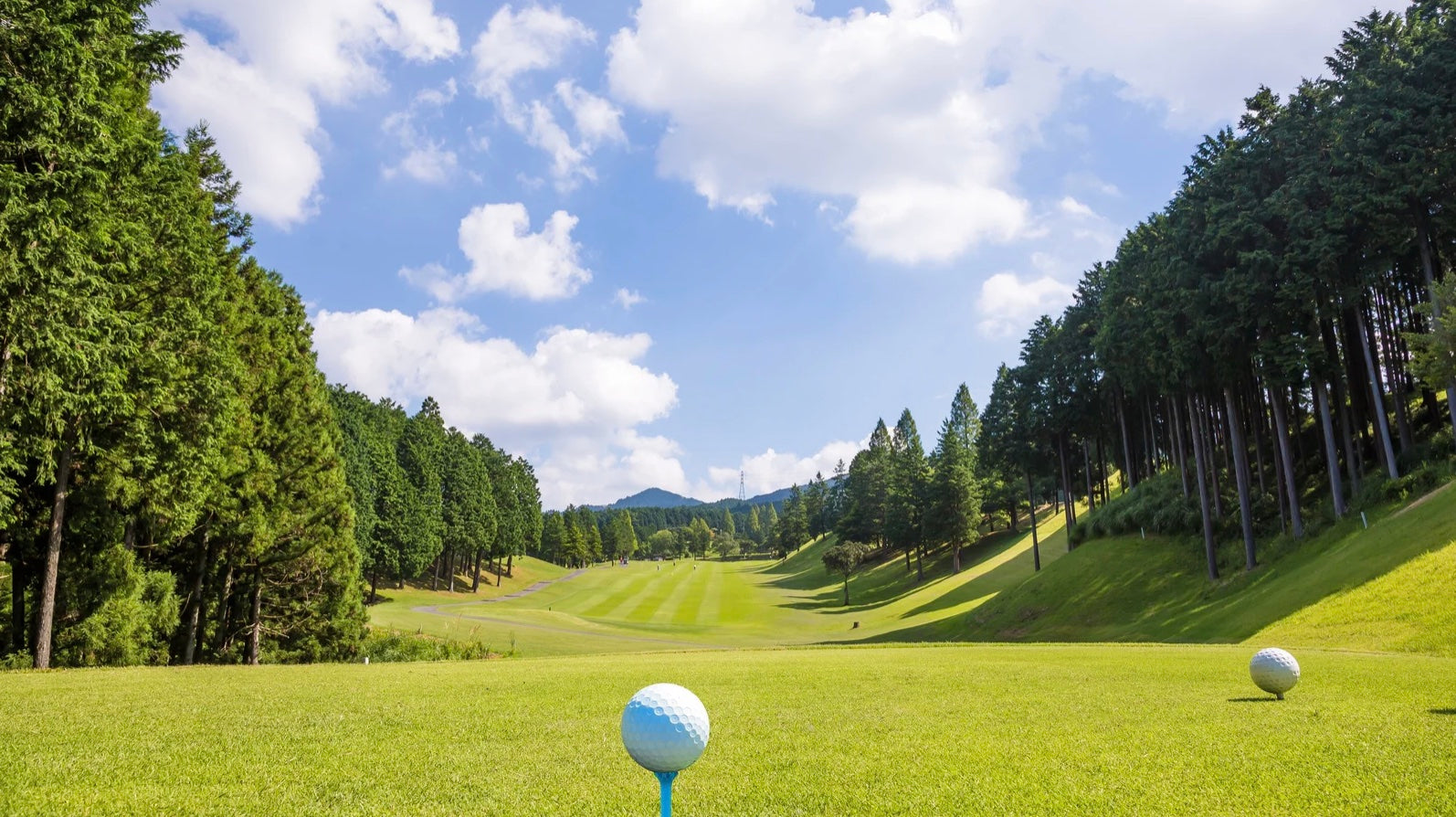 Little Links golf practice
